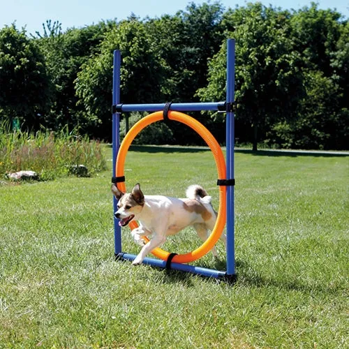 Activity Agility Ring