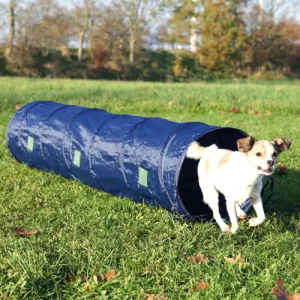 Activity Agility Tunnel