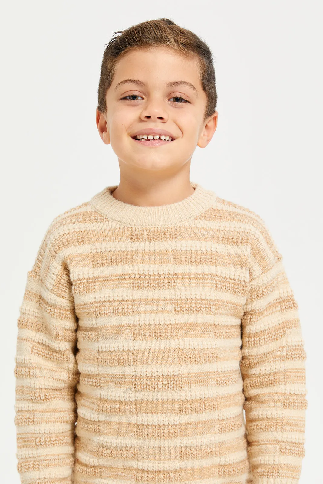 Boys Beige Round Neck Stripe Pullover