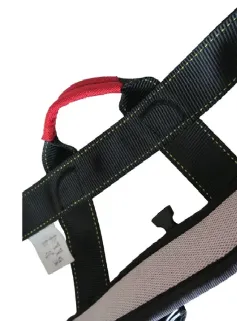 Bungee Fitness Harness