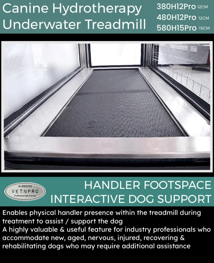 Dog Multifunctional Underwater Hydrotherapy Treadmill 5HP Walk-In & Out Full door Entry / Exit VPER580H15Pro Handler Assist 2 x Ramps Pro Clinic Salon Commercial great earning potential