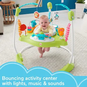 Fitness Fun Jumperoo