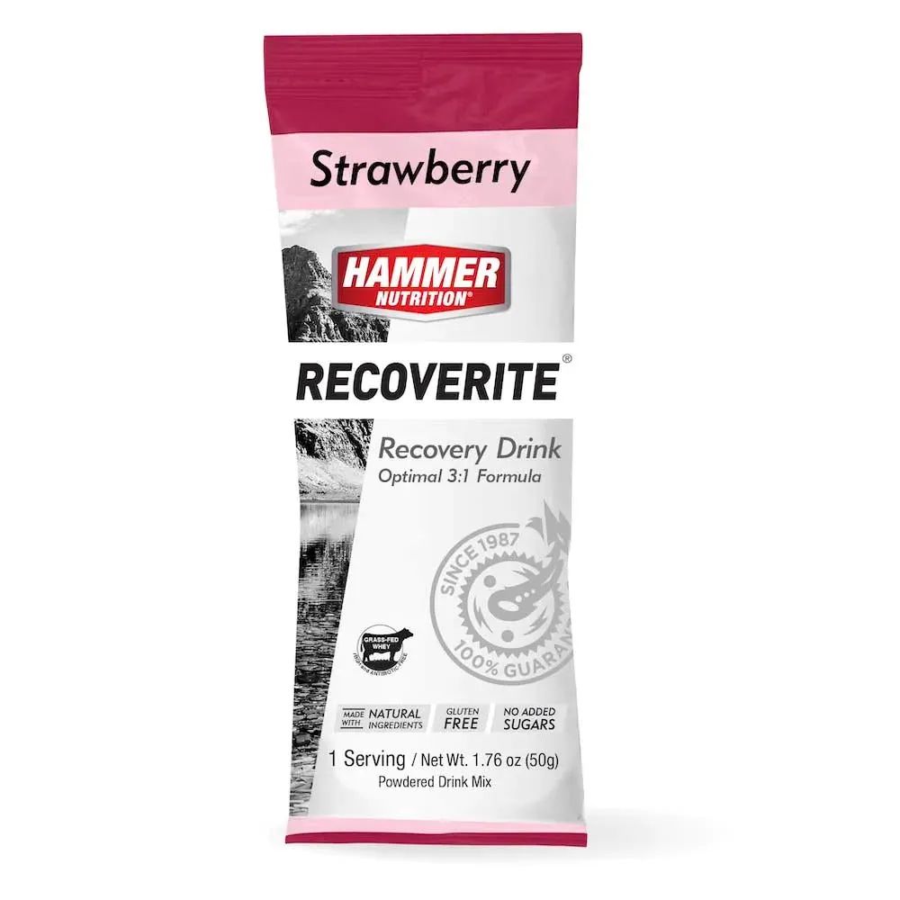 Hammer Nutrition Recoverite Powder Drink Mix (Single Serving)