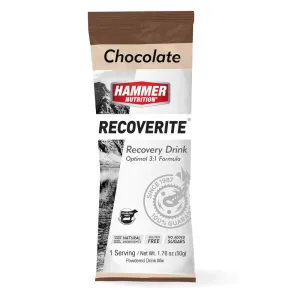 Hammer Nutrition Recoverite Powder Drink Mix (Single Serving)