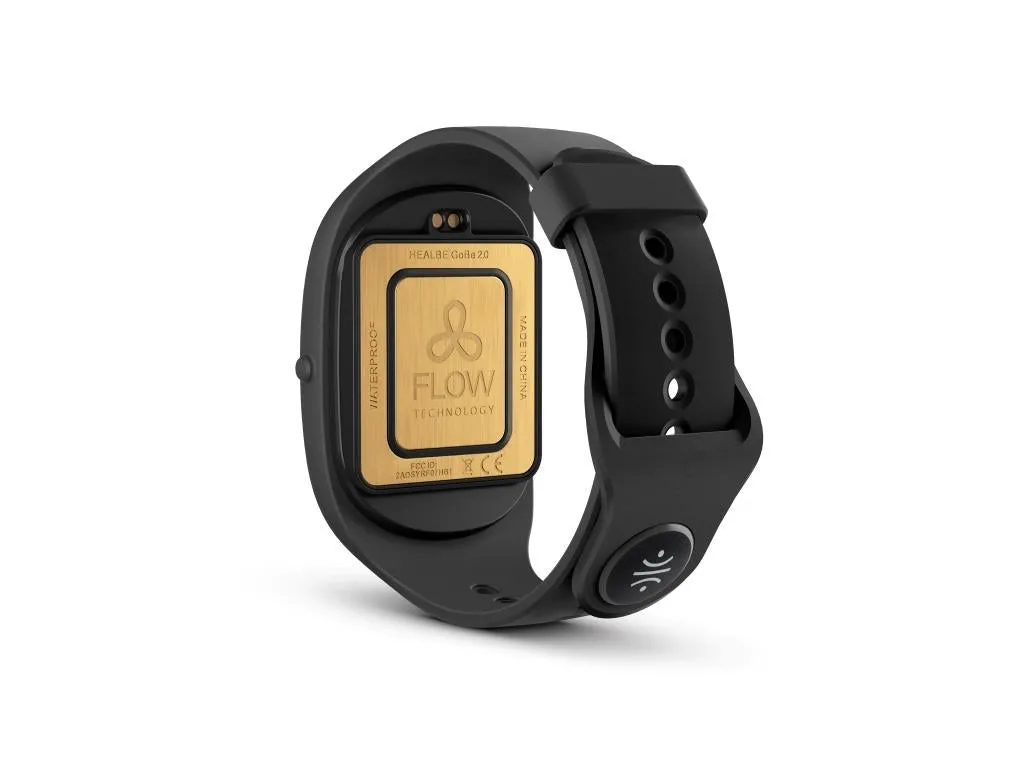 HEALBE GoBe2 Fitness Monitor