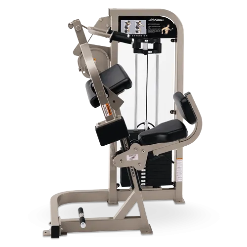 Life Fitness Pro 2 Triceps Extension