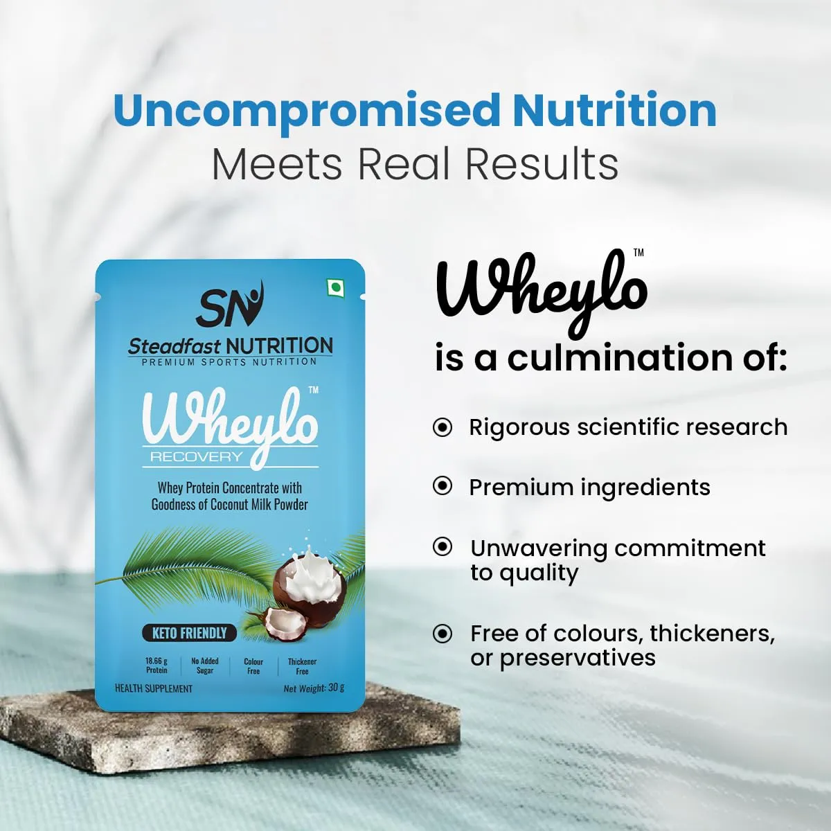 Steadfast Nutrition Wheylo Whey Protein Concentrate 80% | Keto Friendly | Contains 18.66g multifunctional Whey protein for muscle recovery and growth | Goodness of Coconut milk powder (6 sachets)