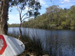 SUP Stand Up Paddle Board Hire - Noosa