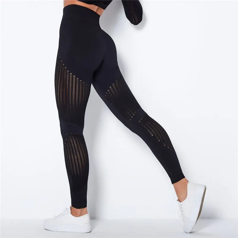 TEEK - High Waist Seamless Leggings