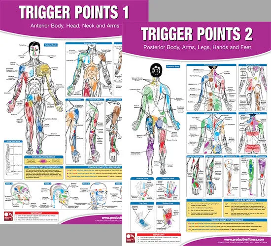 Trigger Points Massage Therapy Fitness Anatomy 2-Poster Wall Chart Set - PFP