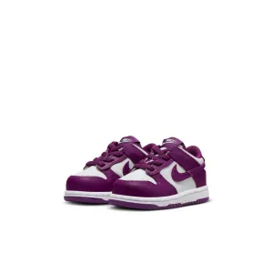 Y Nike Dunk Low FB9107-110