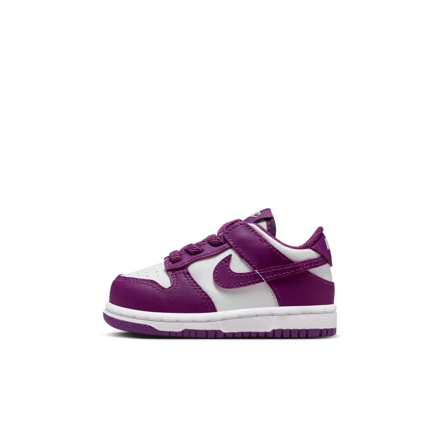 Y Nike Dunk Low FB9107-110