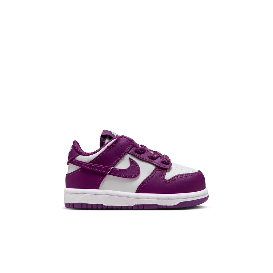 Y Nike Dunk Low FB9107-110